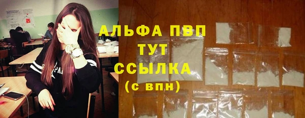 spice Инта