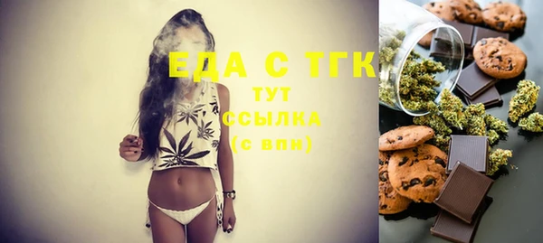 spice Инта