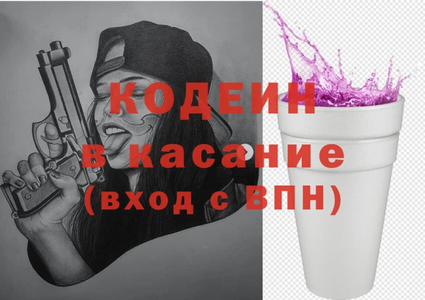 spice Инта
