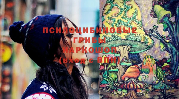 spice Инта