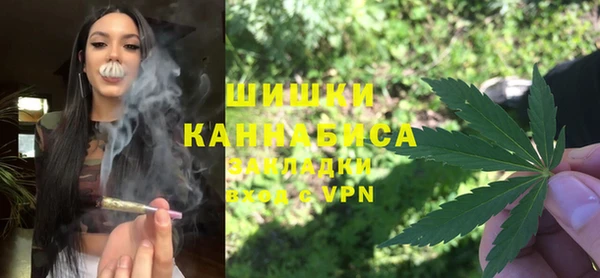 spice Инта
