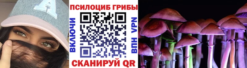 Псилоцибиновые грибы Cubensis  магазин продажи наркотиков  shop телеграм  Костомукша 