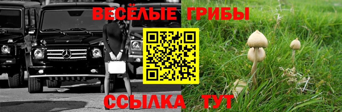 закладка  Галлюциногенные грибы Magic Shrooms  Вход с VPN  Костомукша 