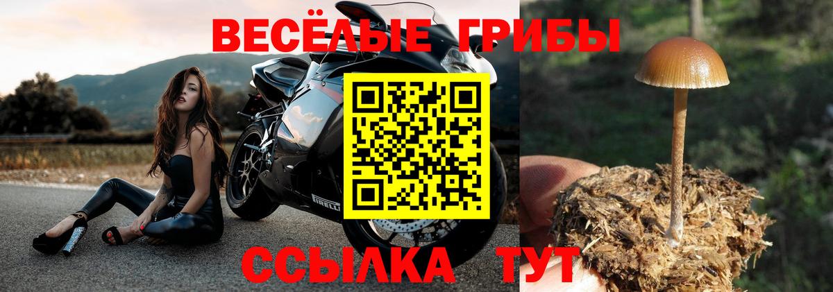 Галлюциногенные грибы мухоморы Костомукша