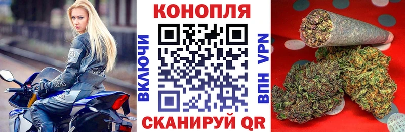 Конопля семена  Костомукша 